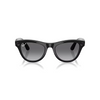 Ray-ban - Skyler - Shiny Black W/polar Grad Graph Glasses - Black