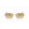 Ray-ban - A$ap Rocky - Arista / Mirror Gold Glasses