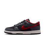 Nike - Kobe Dunk Low Protro "Wnba All-star"