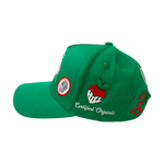Almost Someday - Sugar Hill - Organic Snapback Hat - Green