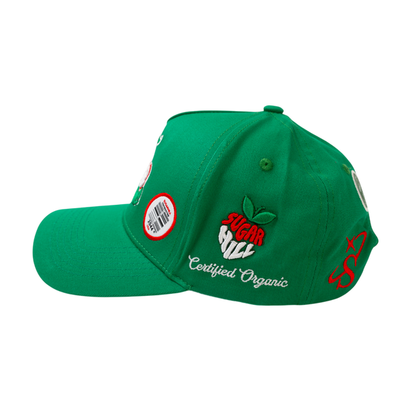 Almost Someday - Sugar Hill - Organic Snapback Hat - Green — alternate view