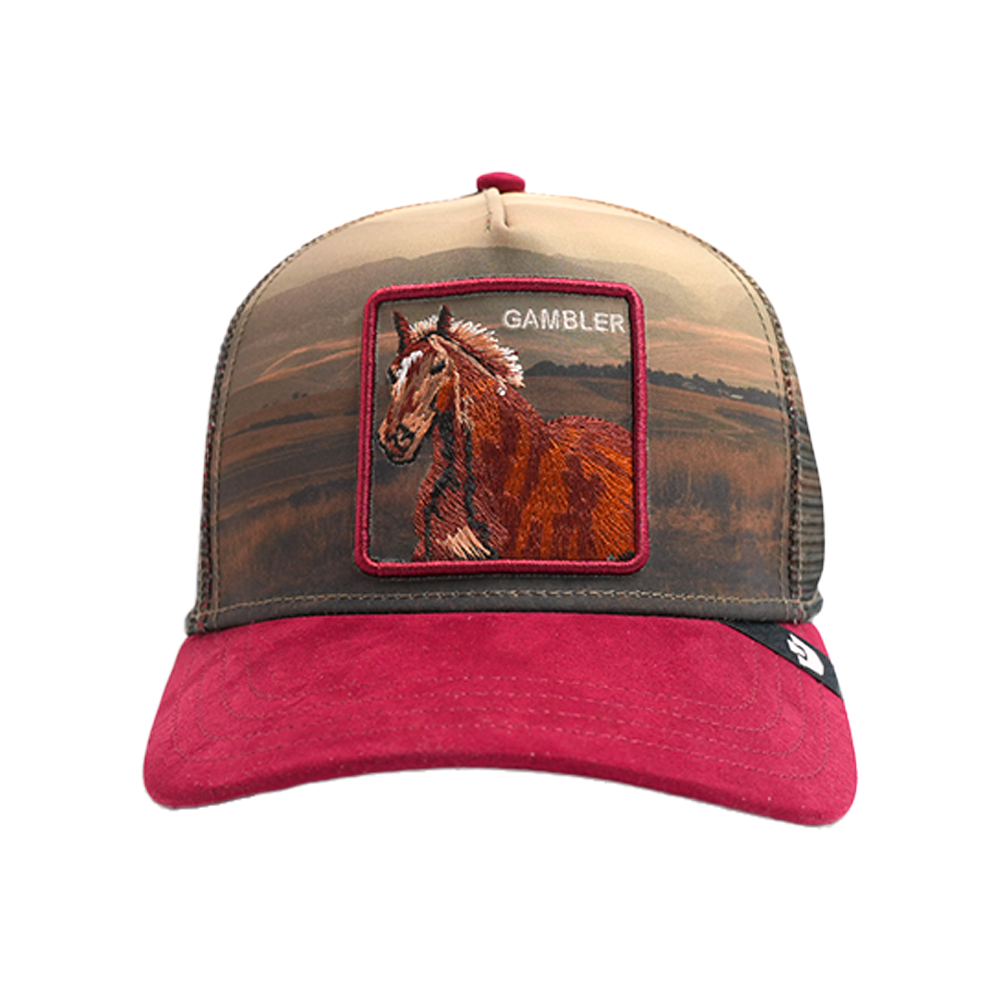 Goorin Bros. - Stallion in the Element Snapback Hat - Multicolor