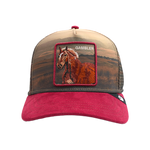 Goorin Bros. - Stallion in the Element Snapback Hat - Multicolor