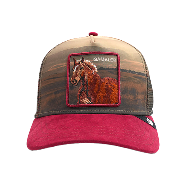 Goorin Bros. - Stallion in the Element Snapback Hat - Multicolor