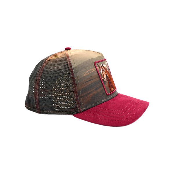 Goorin Bros. - Stallion in the Element Snapback Hat - Multicolor — alternate view
